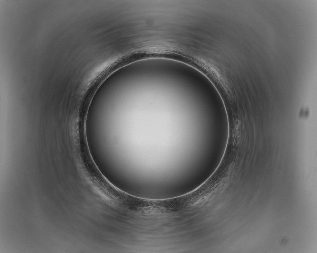 X0000091510535200708171157