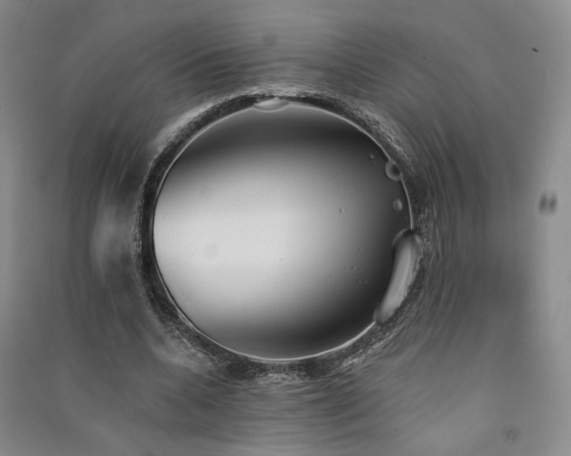X0000091510536200708171158