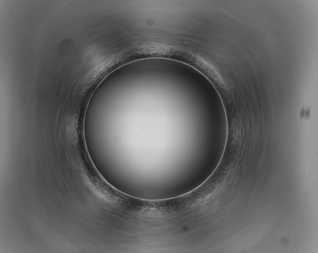 X0000091510538200708171158