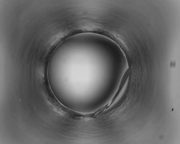 X0000091510539200708171158