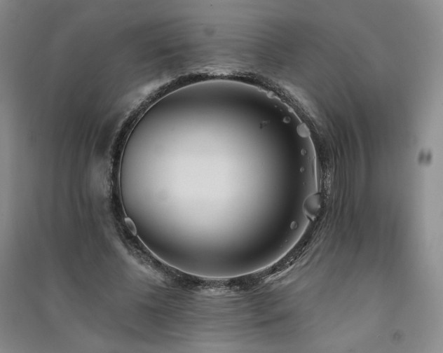 X0000091510540200708171158