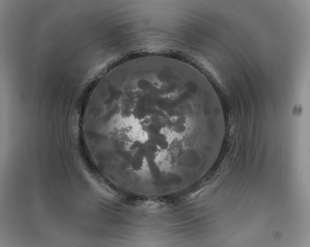 X0000091510542200708171158