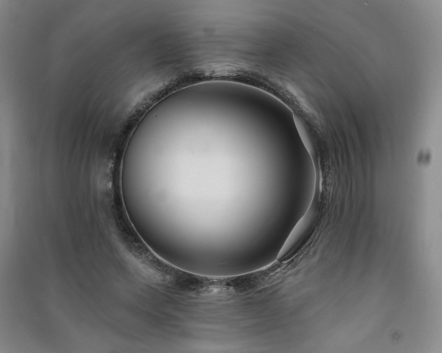 X0000091510543200708171158