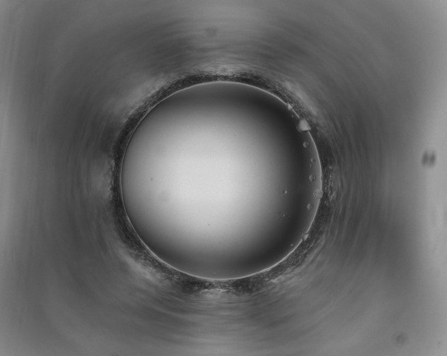 X0000091510544200708171158