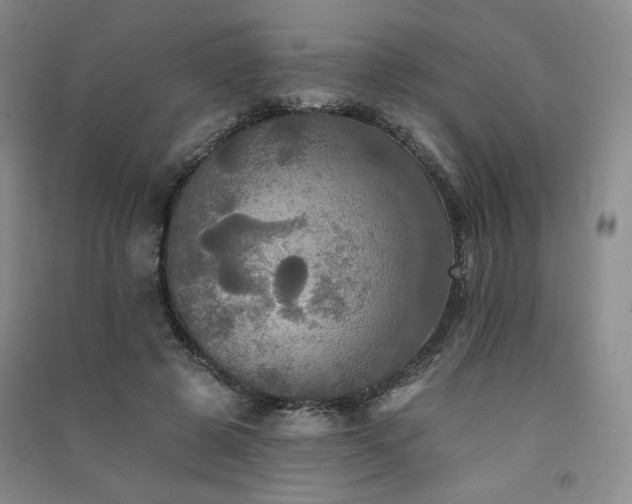 X0000091510545200708171158