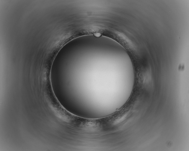 X0000091510546200708171158