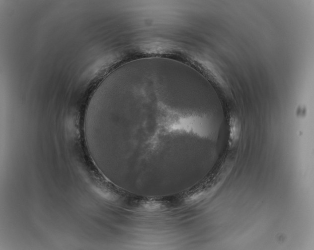 X0000091510547200708171158