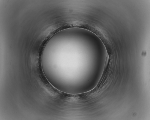 X0000091510548200708171158