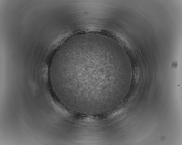 X0000091510550200708171158