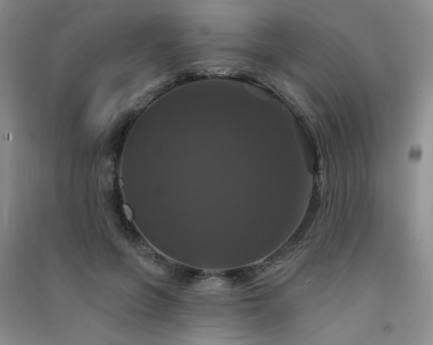 X0000091510551200708171158