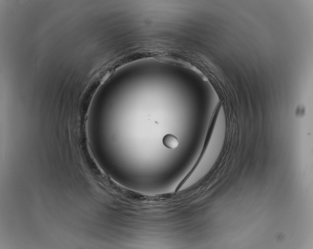X0000091510552200708171158
