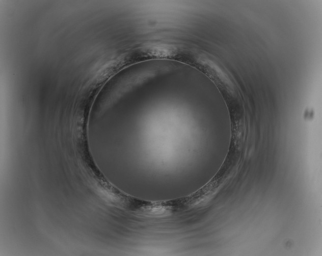 X0000091510553200708171158