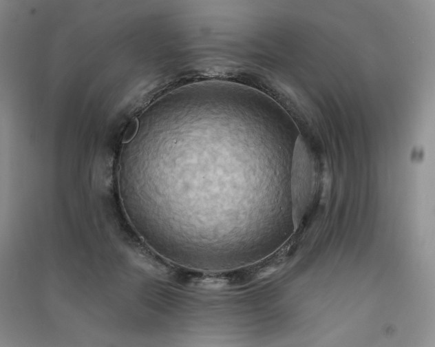 X0000091510554200708171158