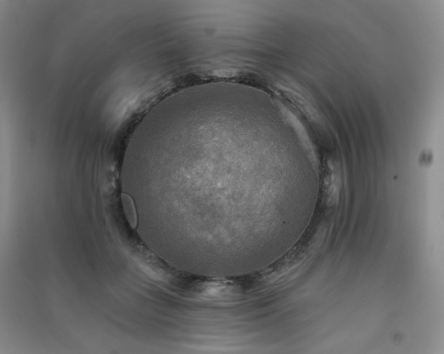 X0000091510555200708171158