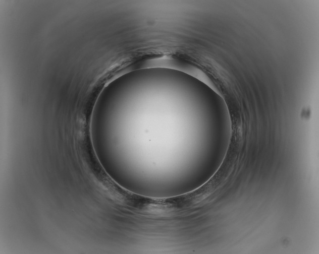 X0000091510556200708171158