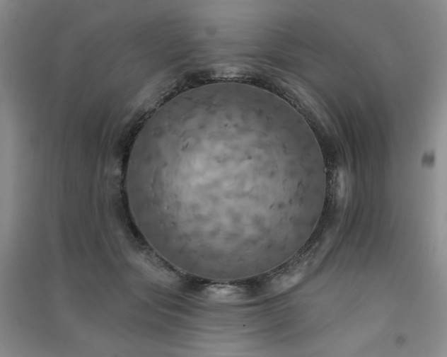 X0000091510557200708171158