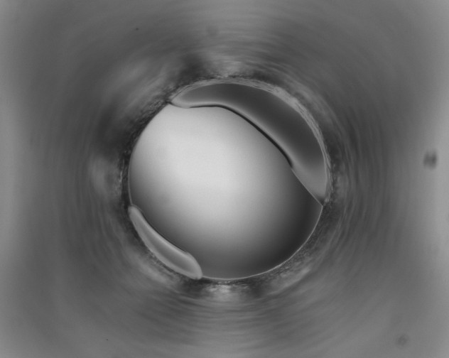 X0000091510558200708171158