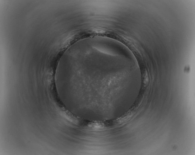 X0000091510559200708171158