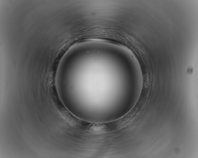 X0000091510560200708171158