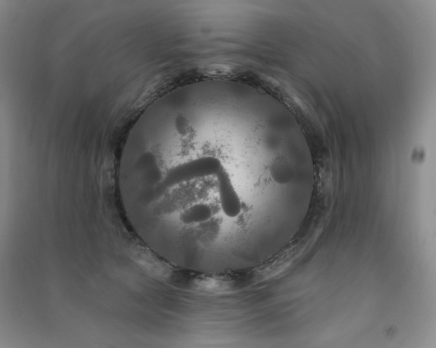 X0000091510561200708171158