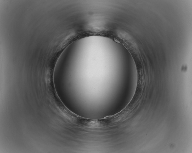 X0000091510562200708171158