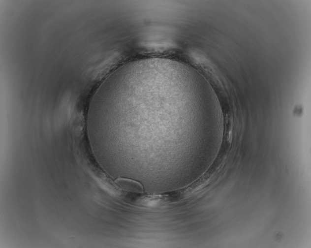 X0000091510563200708171158