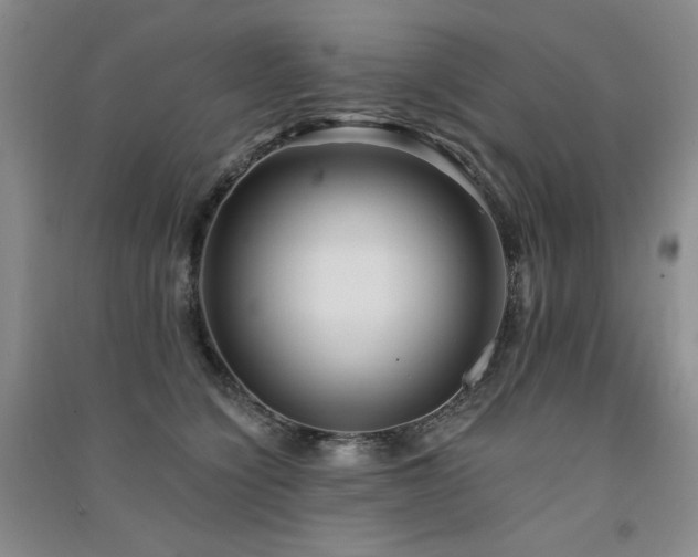 X0000091510564200708171158