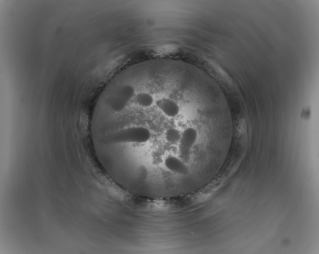 X0000091510565200708171158