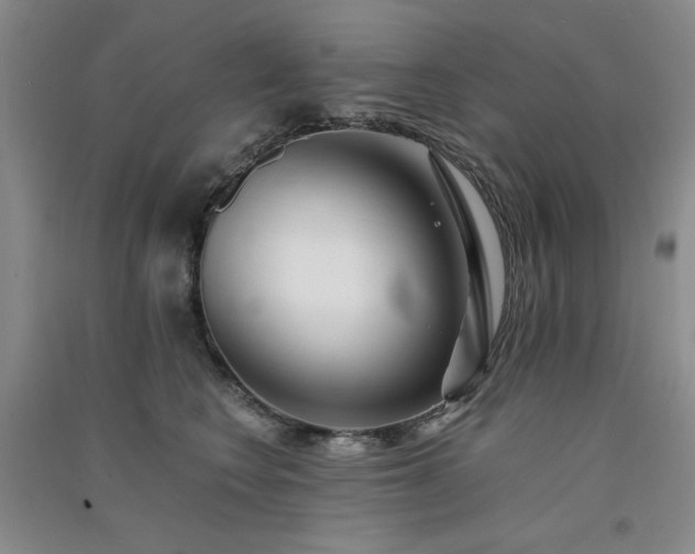 X0000091510566200708171158