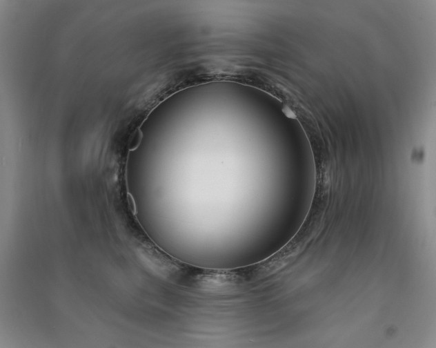 X0000091510567200708171158
