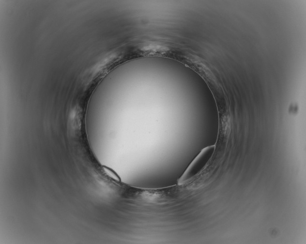 X0000091510570200708171158