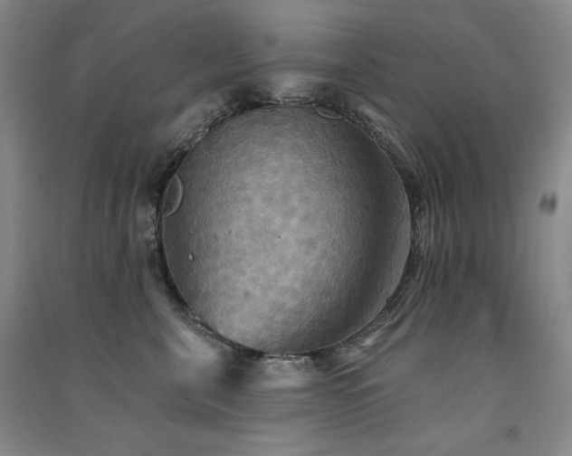 X0000091510571200708171158