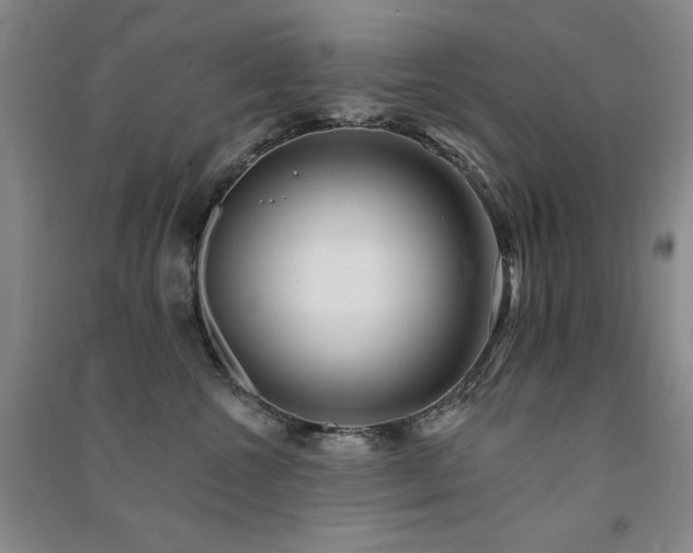 X0000091510572200708171158