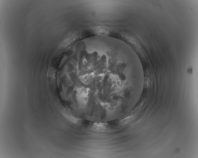 X0000091510573200708171158