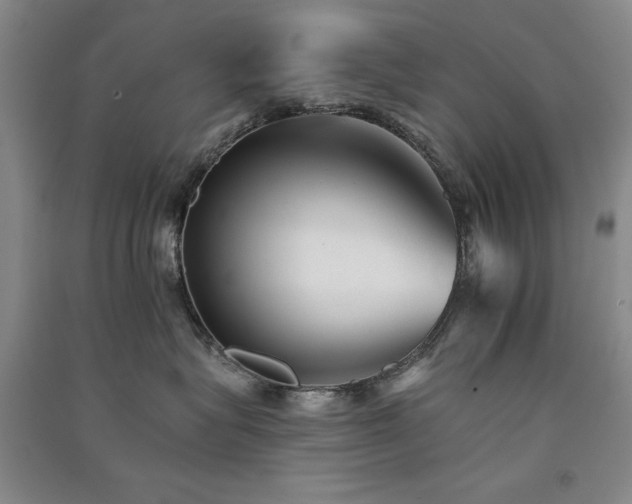 X0000091510575200708171158