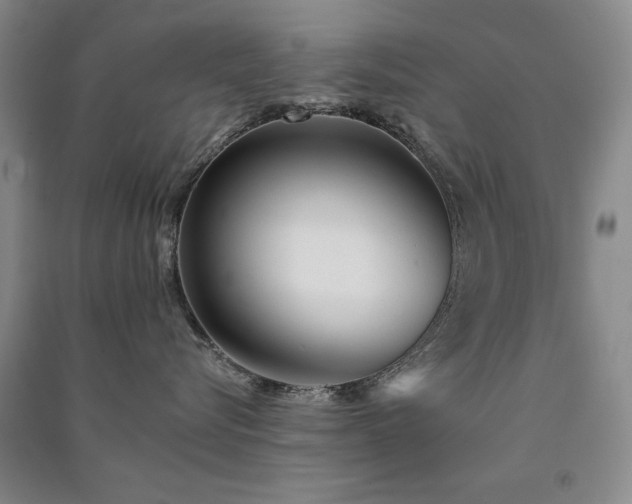 X0000091510576200708171158