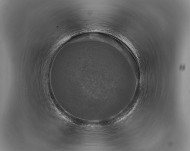 X0000091510577200708171157