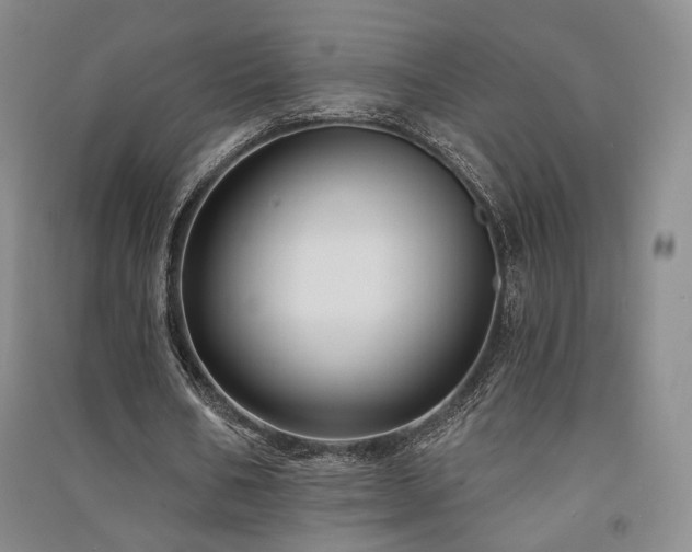 X0000091510578200708171157