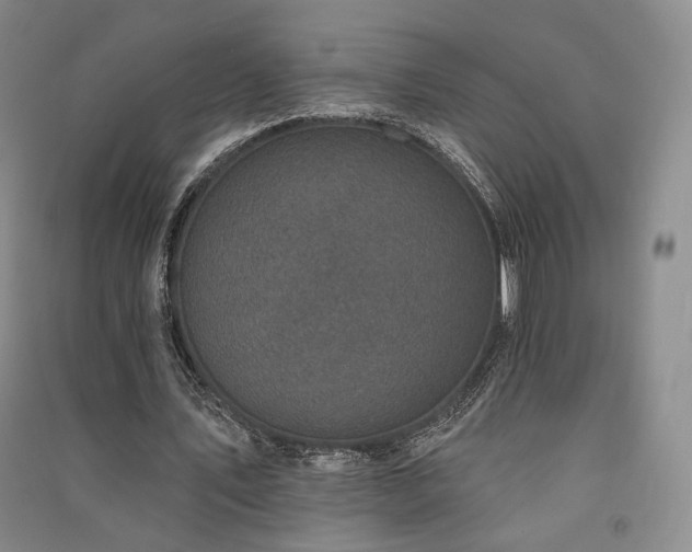 X0000091510579200708171157