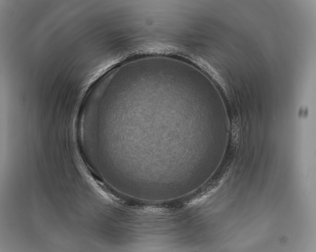 X0000091510581200708171157