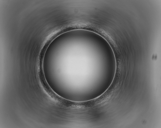 X0000091510582200708171157