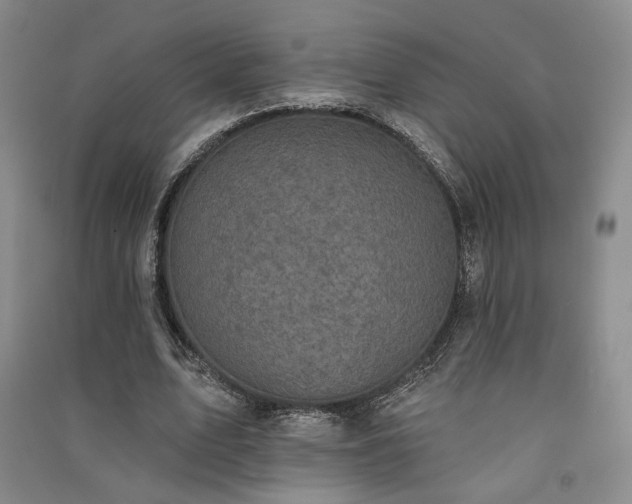 X0000091510583200708171157