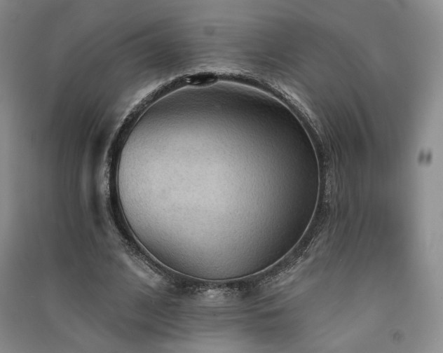 X0000091510584200708171157