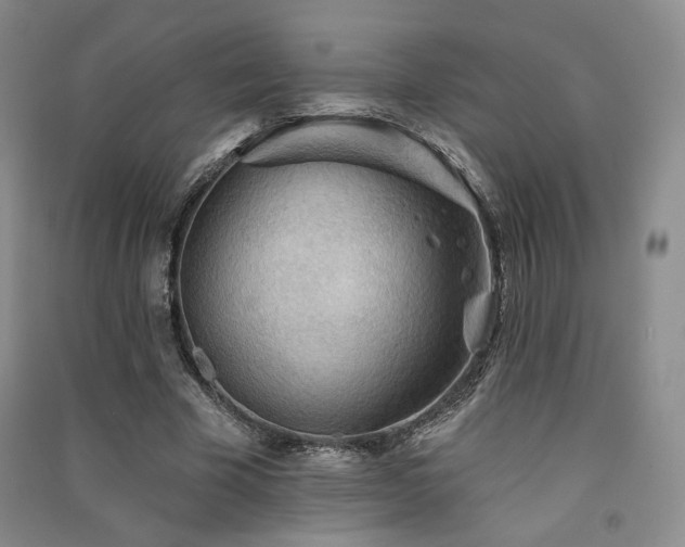 X0000091510585200708171157