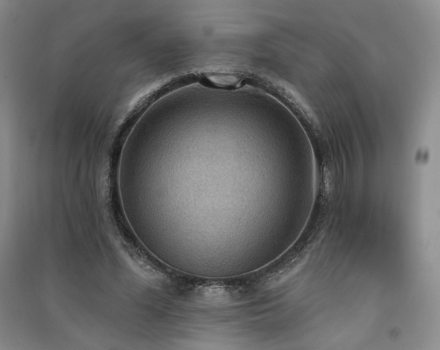 X0000091510588200708171157