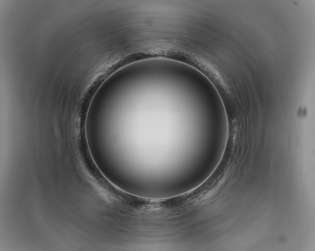 X0000091510589200708171157