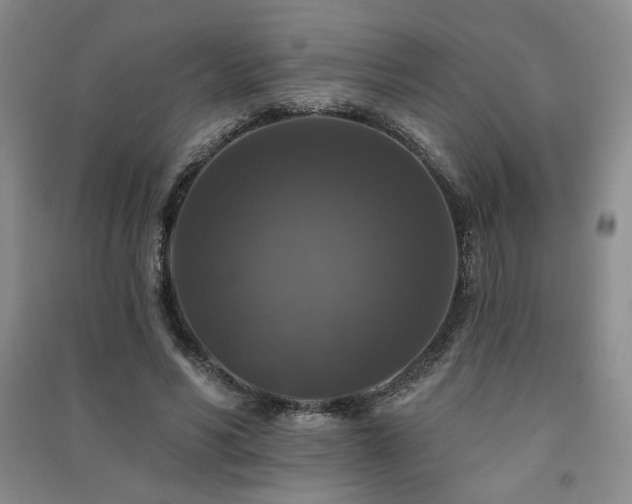 X0000091510590200708171157