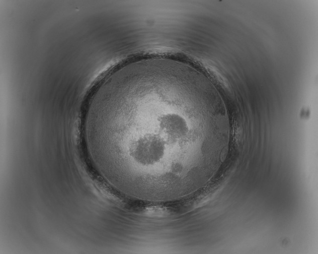 X0000091510591200708171157