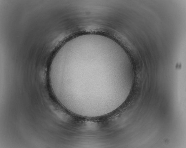 X0000091510592200708171157