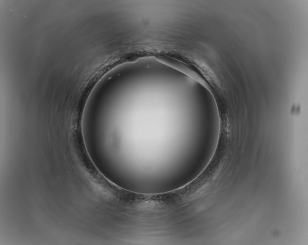 X0000091510593200708171157
